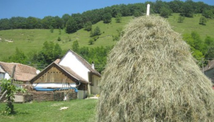 ANTREC va lansa o nouă ediţie a programului special Vacanţe la ţară